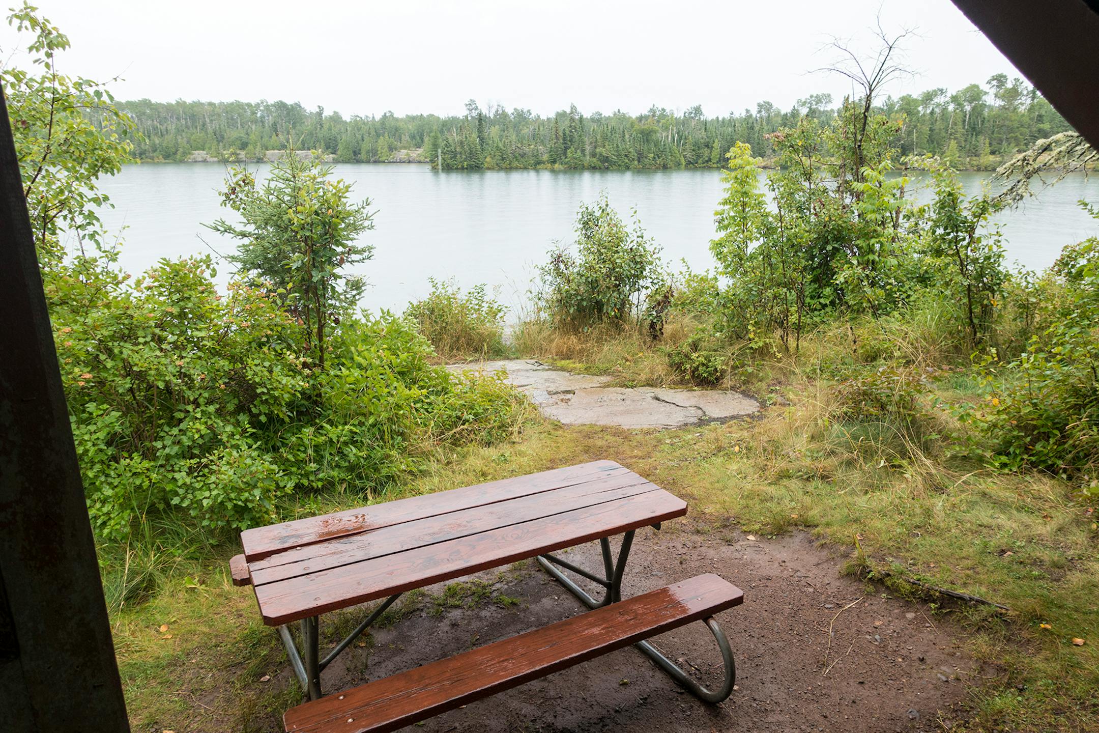 View from a shelter and site.