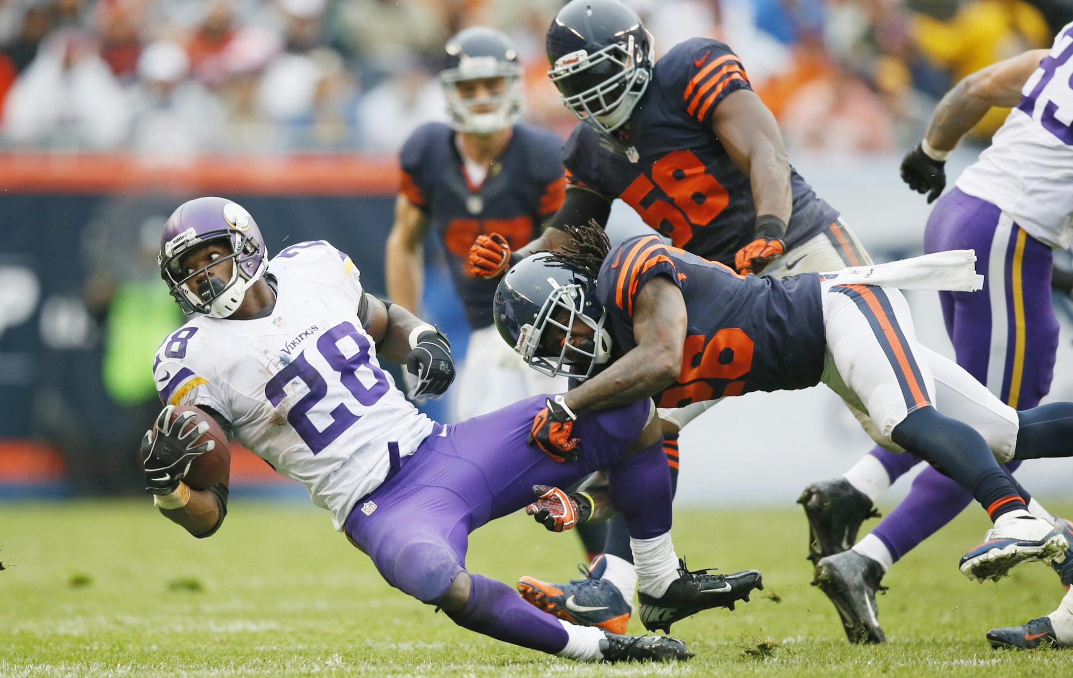 Adrian Peterson was tackled by Bears cornerback Tim Jennings in the fourth quarter during NFL action between Chicago and Minnesota at Soldier Field on September 15, 2013