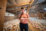 Erica Sawatzke held a three-week-old turkey in one of the barns at her family farm in Kensington, Minn., on Oct. 4. Sawatzke says having high-speed in
