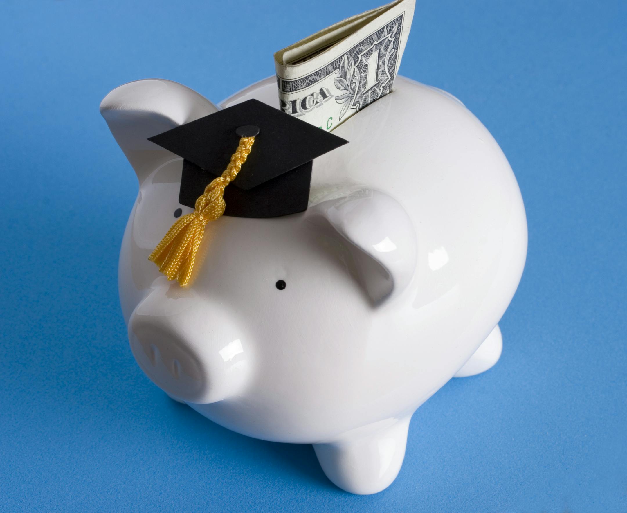 Piggy bank with a graduation cap with dollar bill