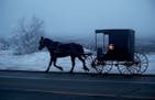 An Amish buggy heads along south, along Highway 71, amid the morning frost and fog in Todd County Thursday, Jan. 25, 2018, near Long Prairie, MN.