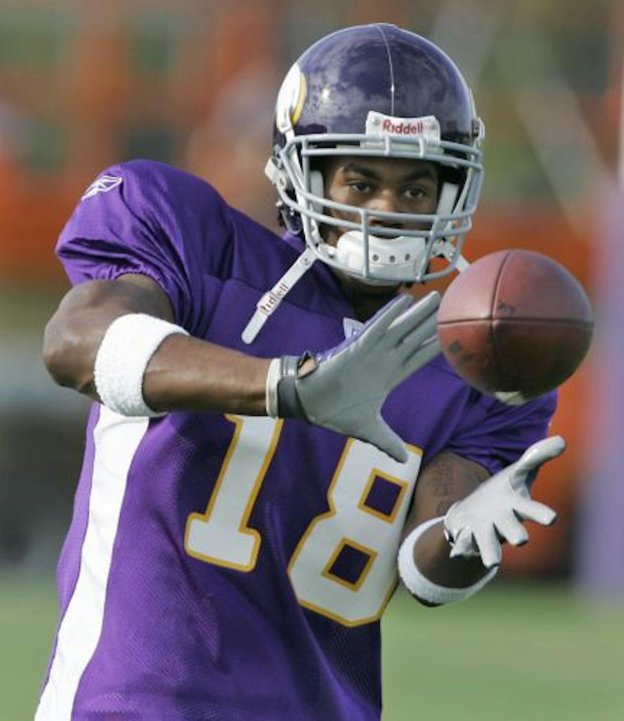 Minnesota Vikings wide receiver Sidney Rice