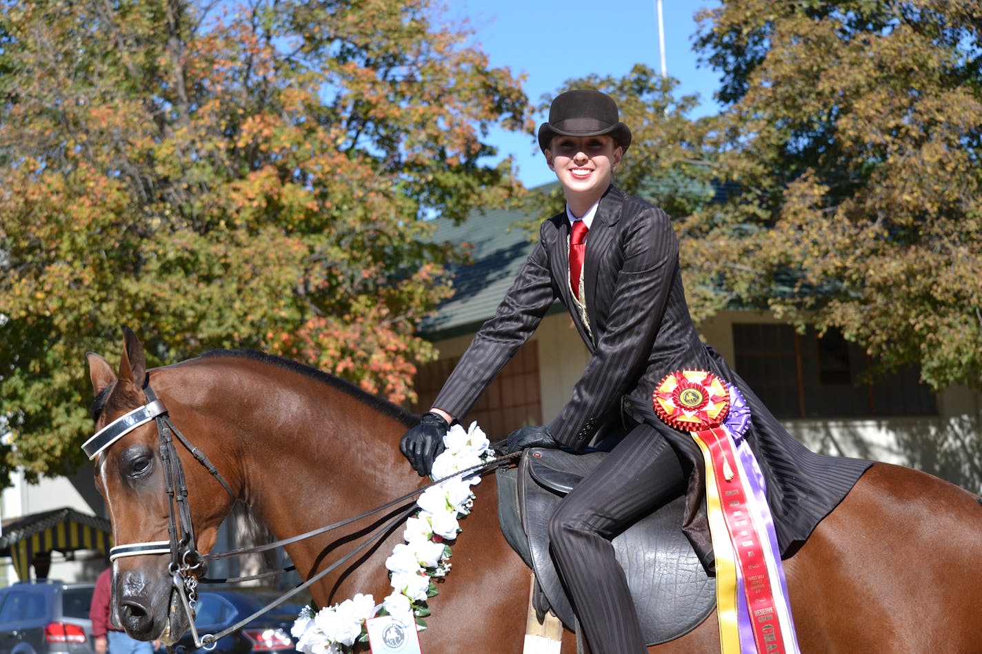 The Minnesota Arabian Horse Breeders Fall Festival Arabian Horse Show will be held on the State Fairgrounds in Warner Coliseum Sept. 30-Oct. 1.