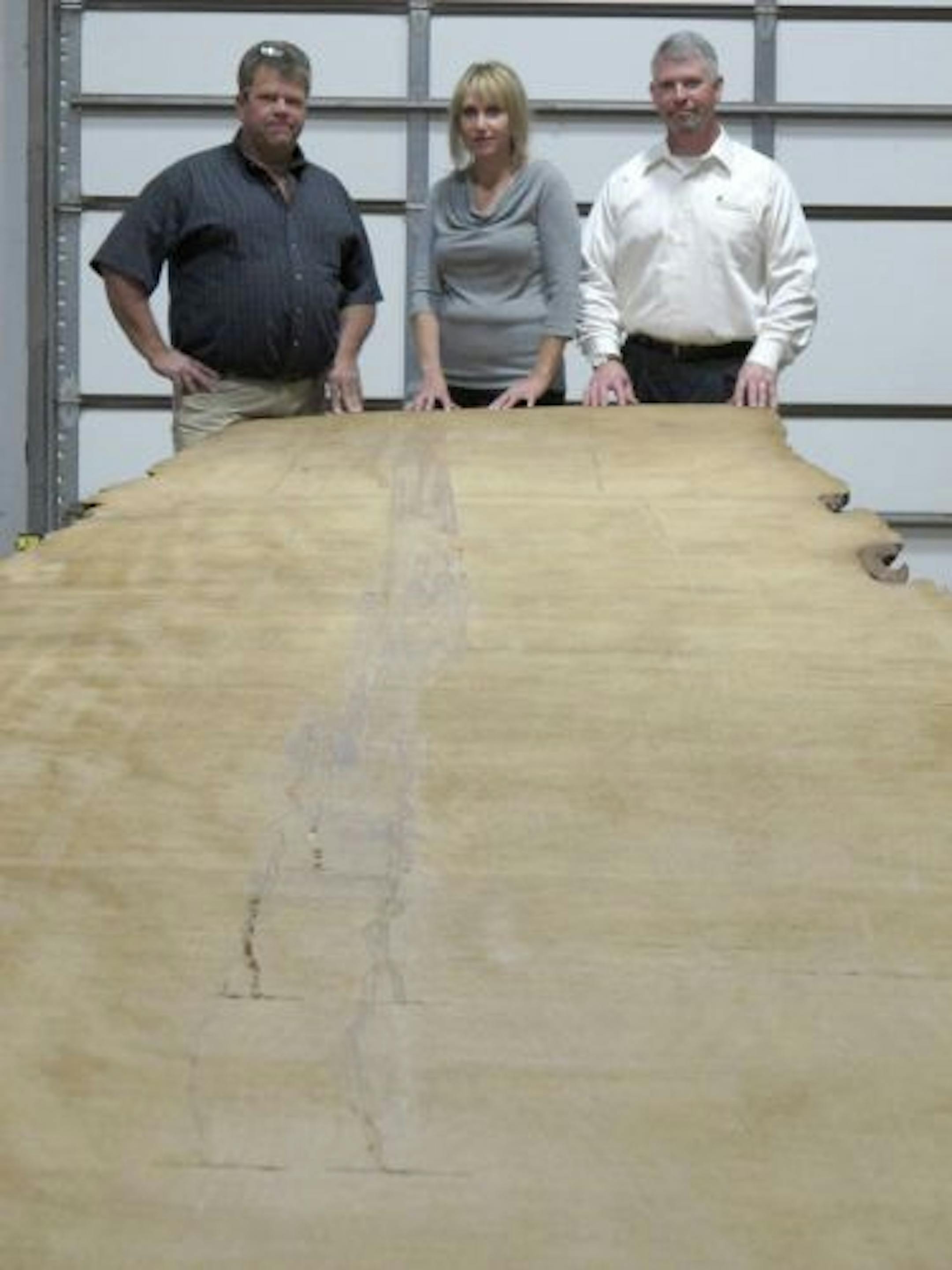 Emma L. Carew � Star Tribune
Caption info: Robert Teisberg, owner of Ancient Wood, the sole importer of Kauri wood, Sarah Londerville and Mark Clasen, owners of Manomin Resawn Timbers in Hugo at the head of a 40-foot piece of Kauri wood, ancient wood recently discovered in New Zealand. Carbon dating estimates the wood is between 30,000 and 50,000 years old.