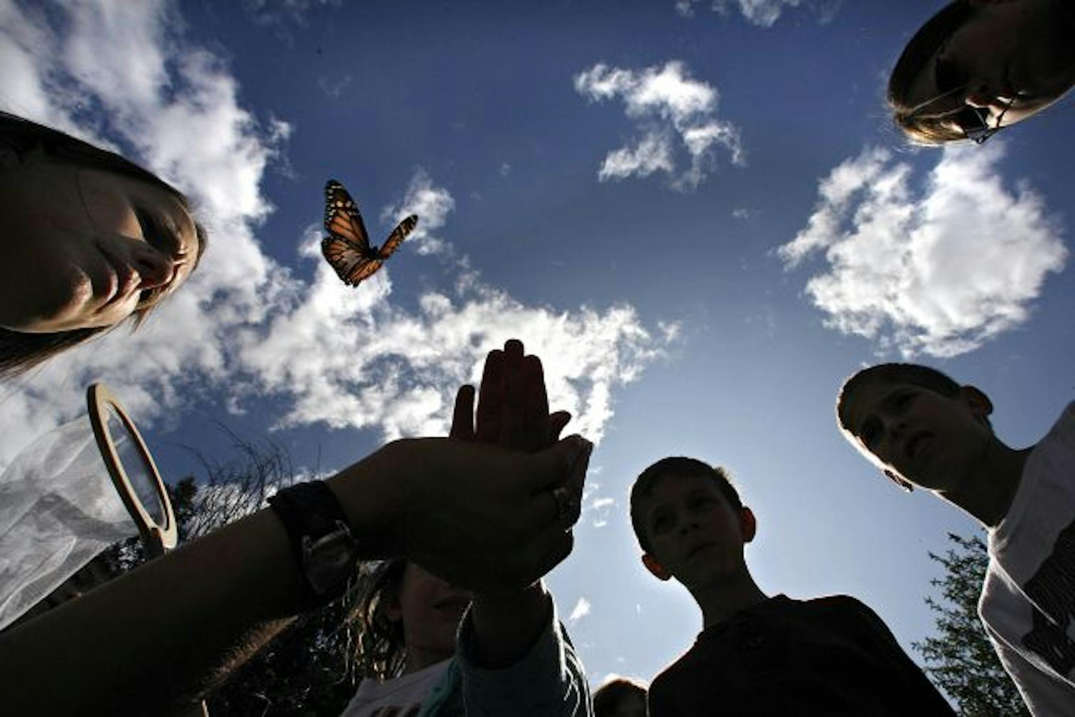 Interpretative naturalist Valerie Quiring, left, released a monarch butterfly that she had tagged to track its migration to Mexico. It will take the butterflies about two months to make the trip.
