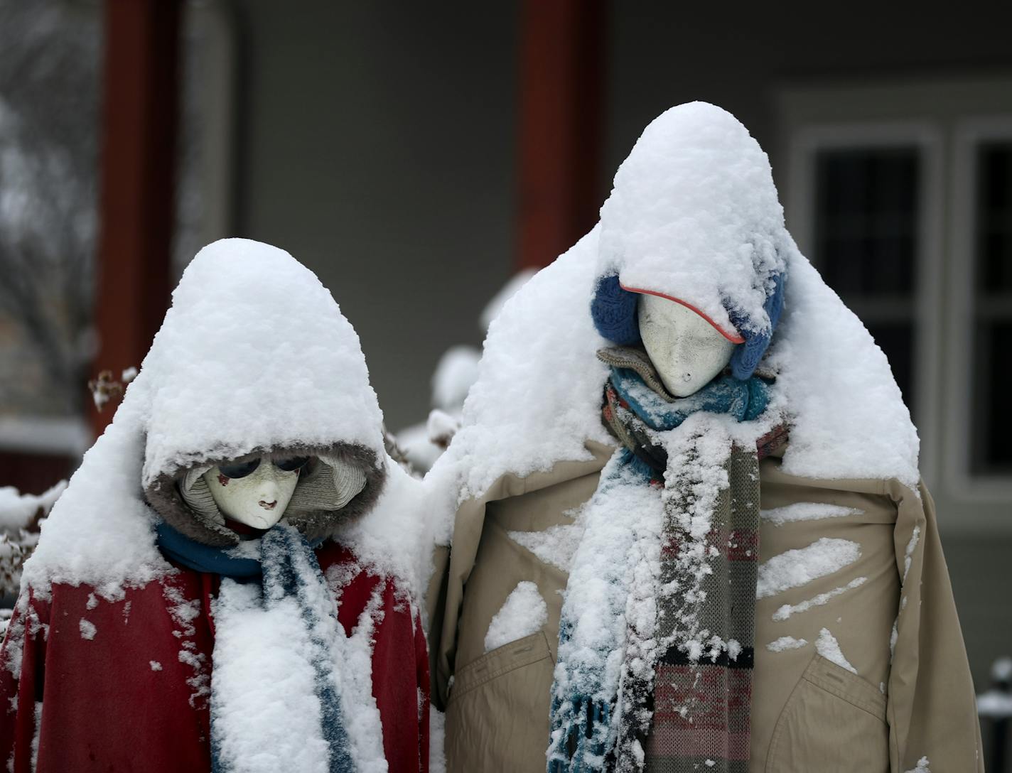 Scarecrows in a garden at 46th Street and Lyndale Ave. S. looked like an accurate gauge of Friday's half-foot snowfall in Minneapolis. More is coming Saturday.