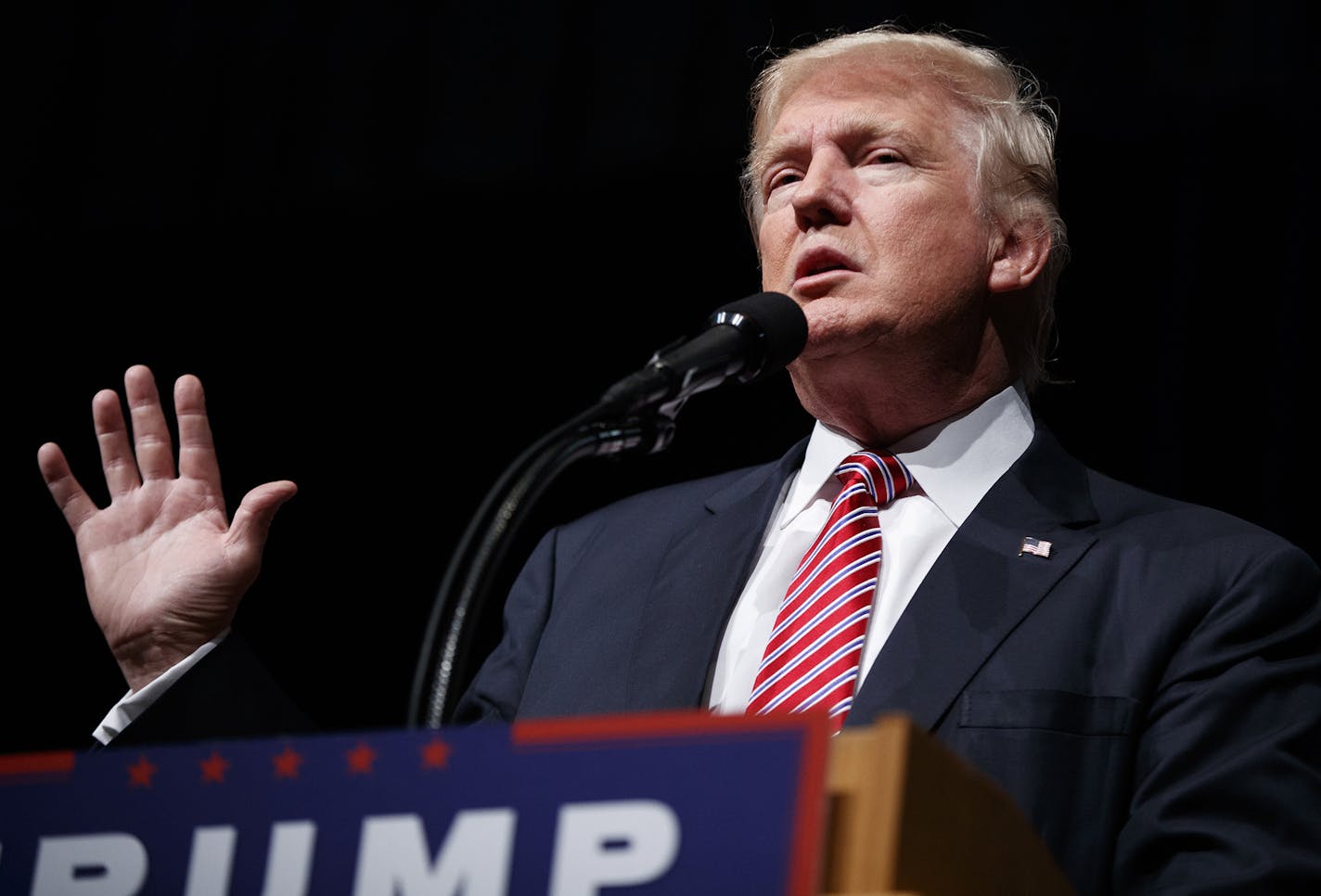 Republican presidential candidate Donald Trump speaks during a campaign rally at Briar Woods High School, Tuesday, Aug. 2, 2016, in Ashburn, Va. (AP Photo/Evan Vucci) ORG XMIT: MIN2016080311123016