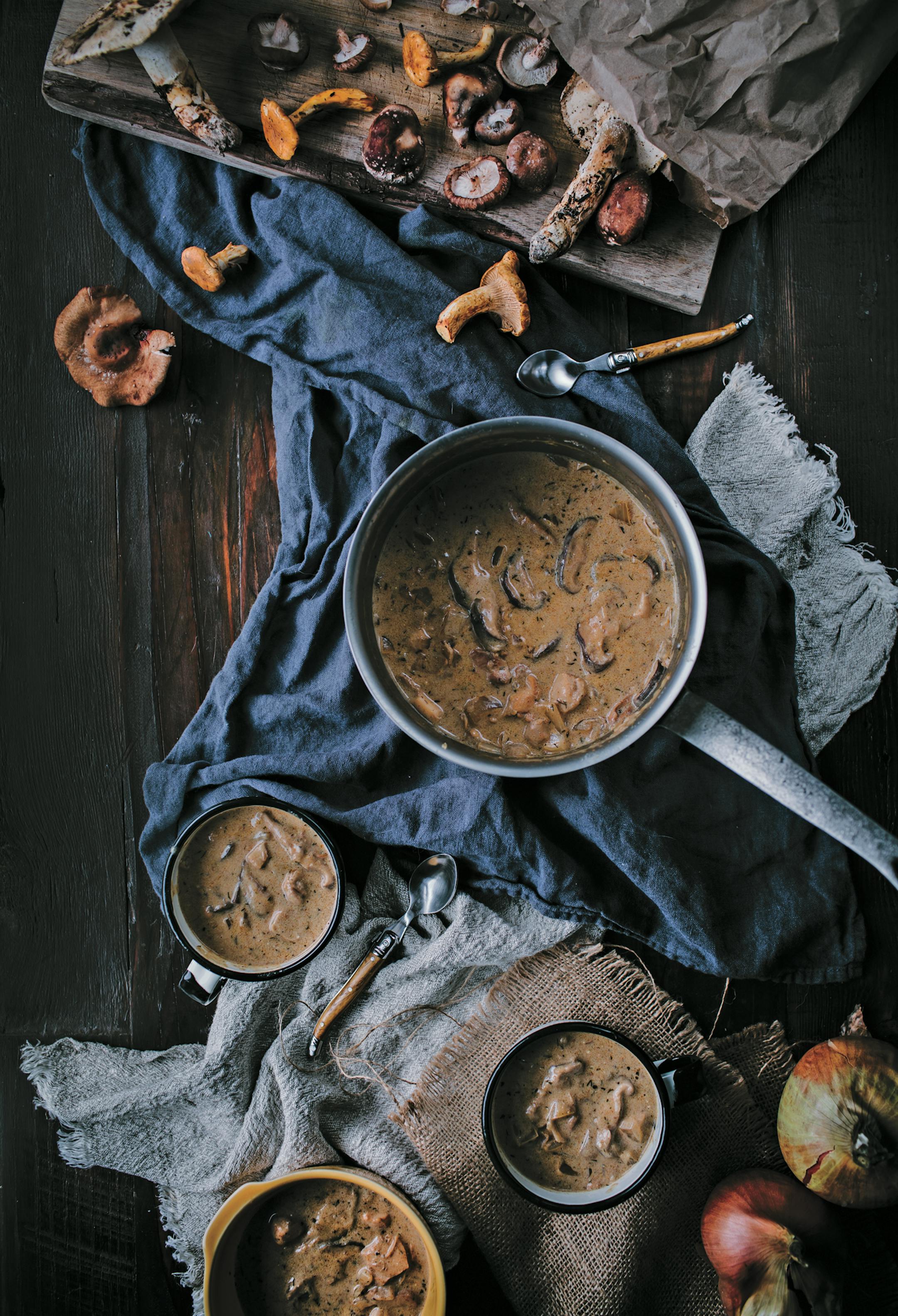 Chicken Mushroom Soup from "Adventures in Chicken" by Eva Kosmas Flores.