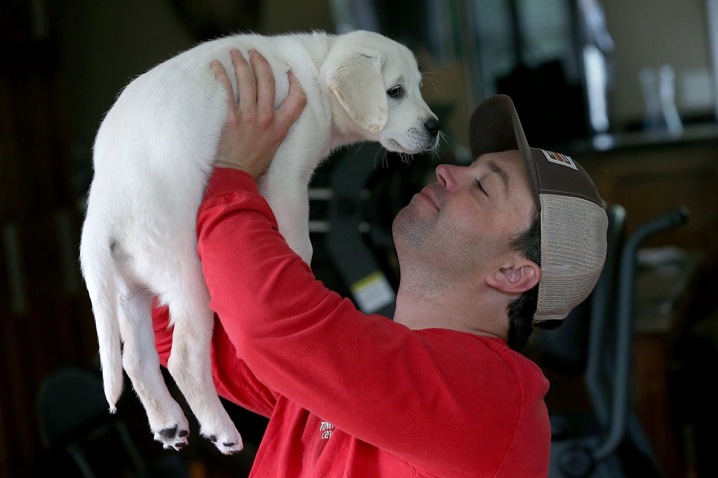 Ryan Neslund, a paraplegic man who fell through the ice on Lake Minnetonka last February, played with his new puppy "Ranger," Thursday, May 7, 2015 in Wayzata, MN. Nelson, who managed to swim out of his truck and get help, lost his dog "Balou" who was in the passenger seat and didn't make it out with him. He recently received a puppy from people who were touched by his story.