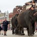 The elephants will be the grand marshals in the 2023 Big Top Parade in Baraboo, Wis. Last year’s parade had a pirate theme. 