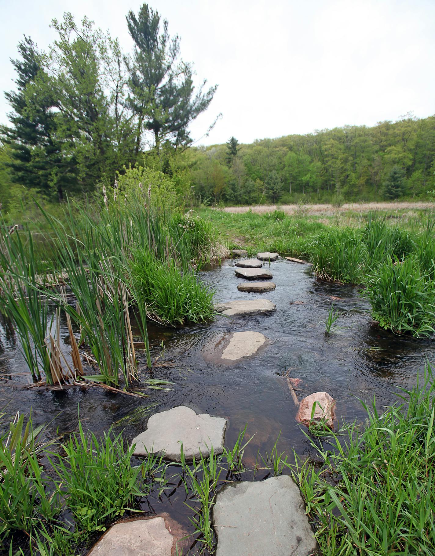 The Ice Age Trail crosses a creek in Straight Lake State Park, the state's newest park. ORG XMIT: MJS1706121740121311