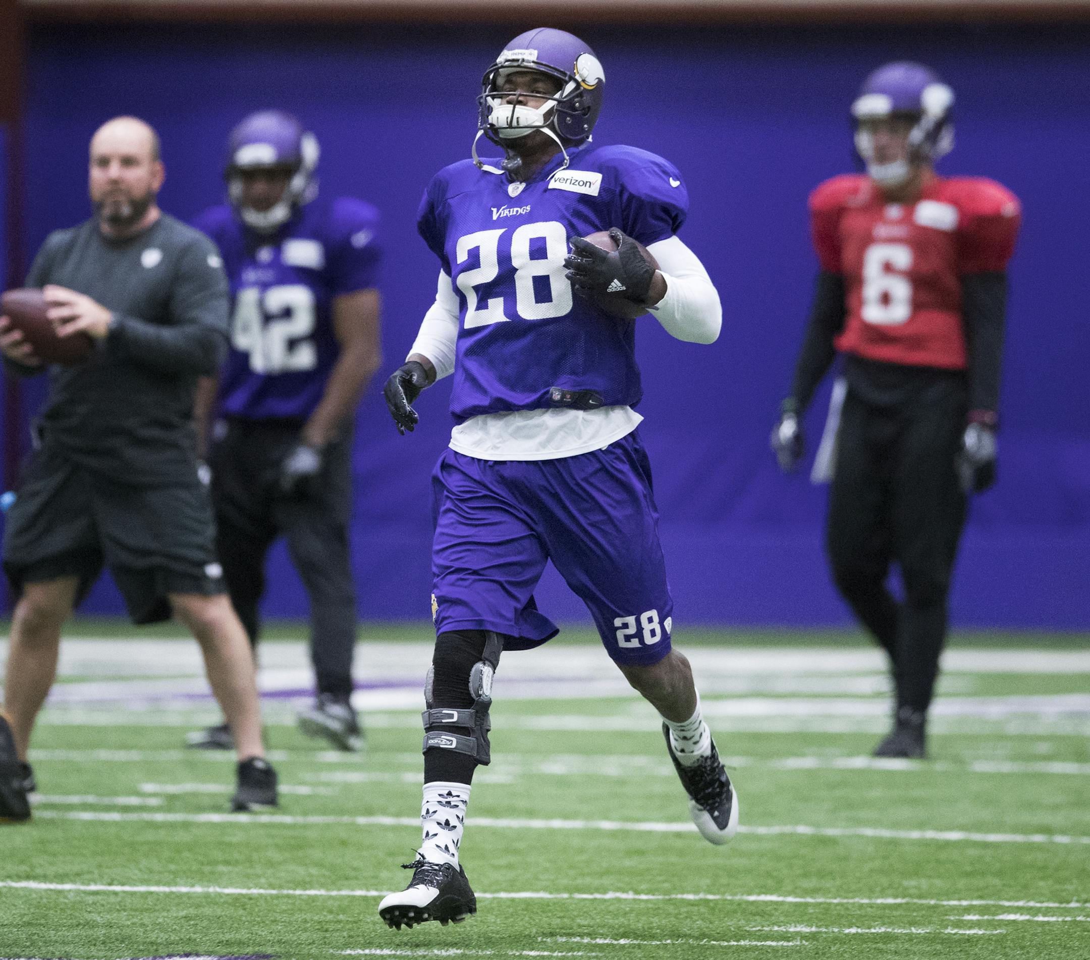 Minnesota Vikings running back Adrian Peterson (28) is back on the practice field at Winter Park Wednesday December 14,2016 in Eden Prairie, MN. ] Jerry Holt / jerry. Holt@Startribune.com