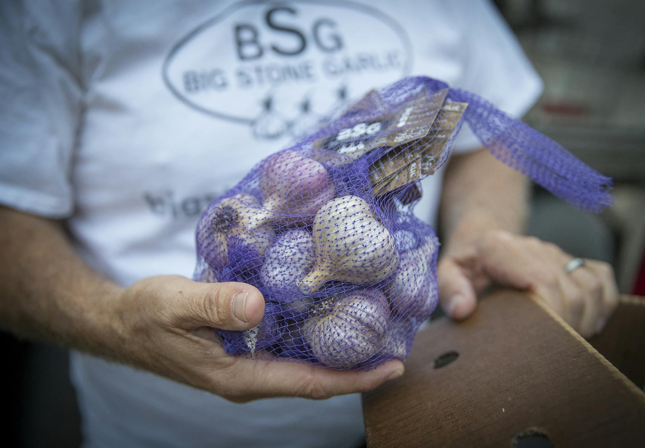 Les Olson of "Big Stone Garlic" checked on his shipment of garlic outside Bonnie's Hometown Grocery as he waited for a semi for loading, Tuesday, September 4, 2018 in Clinton, MN. The garlic will then be taken to a warehouse in Wadena and sold to whichever grocery stores want it. ] ELIZABETH FLORES ï liz.flores@startribune.com