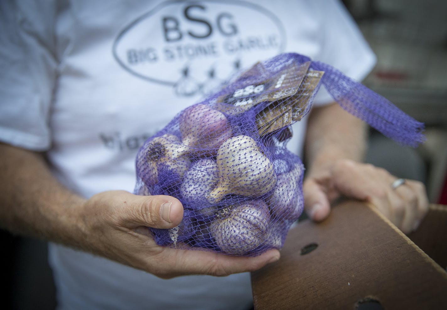 Les Olson of "Big Stone Garlic" checked on his shipment of garlic outside Bonnie's Hometown Grocery as he waited for a semi for loading, Tuesday, September 4, 2018 in Clinton, MN. The garlic will then be taken to a warehouse in Wadena and sold to whichever grocery stores want it. ] ELIZABETH FLORES &#xef; liz.flores@startribune.com