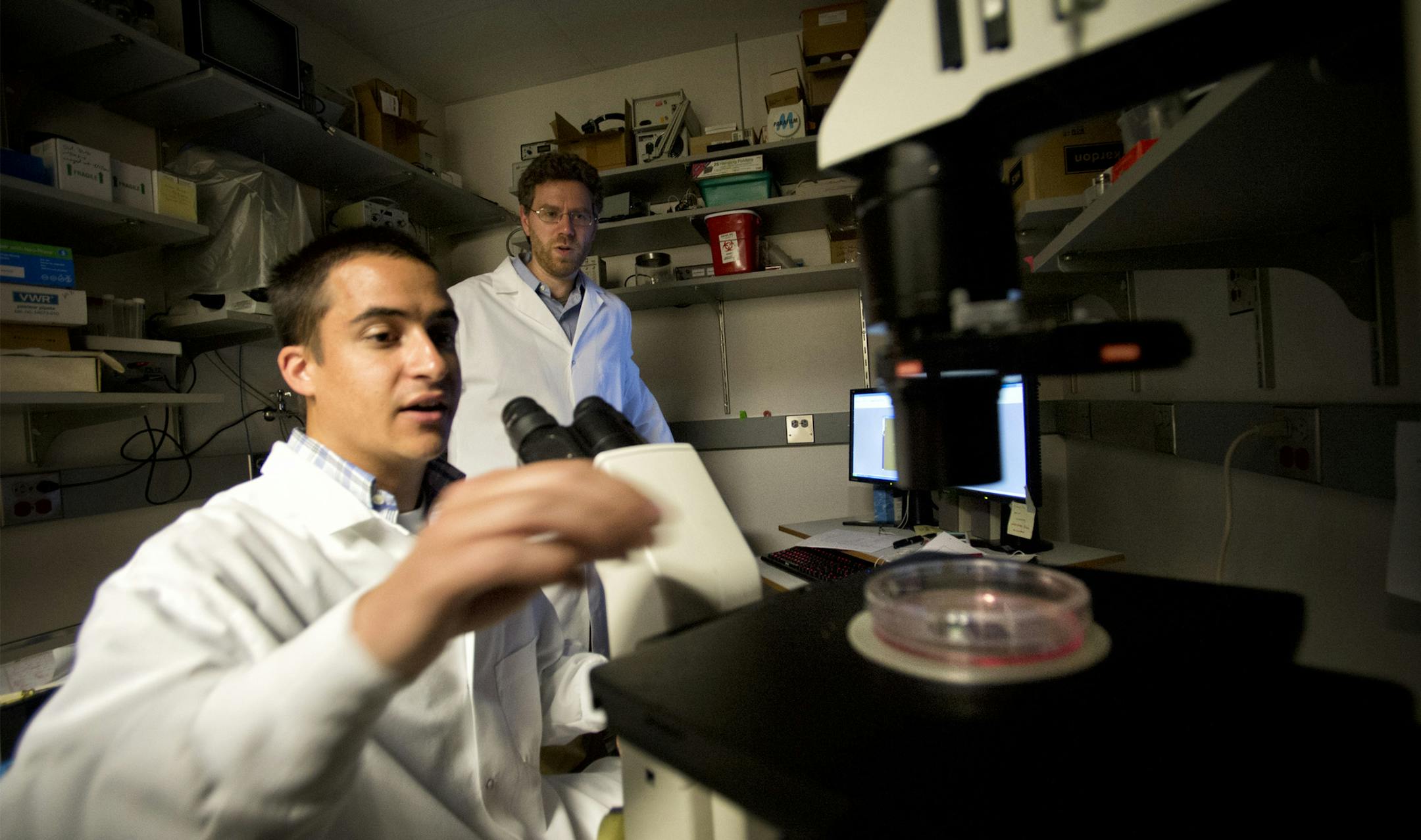 Jonathan Sachs, associate professor of biomedical engineering at the University of Minnesota worked with PhD candidate Andrew Lewis. Sachs oversees two PhD candidates in his biomedical engineering lab at the U. With normal funding his lab would be staffed with 8 researchers but funding has been down dramatically. He works with PhD candidates Anthony Braun and Andrew Lewis. ] GLEN STUBBE * gstubbe@startribune.com EDS, Sachs has wavy hair, glasses, blue shirt. Braun has purple shirt and Lewis wear