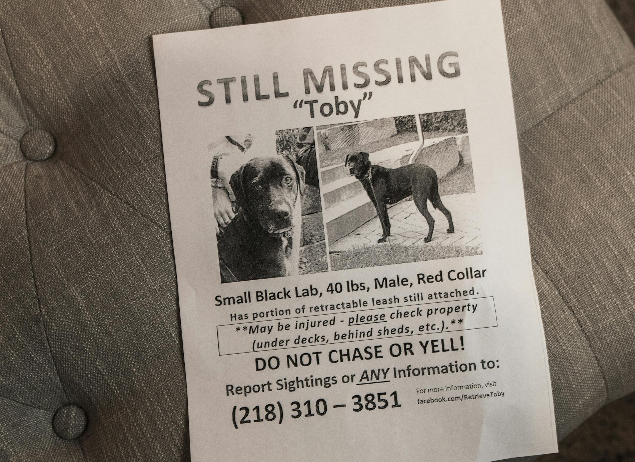 Fianc&#xc8;s Jen Lehman and Rachel Haemig used The Retrievers to help find their dog Toby this fall. Photographed on Tuesday, February 9, 2016 in Ramsey, Minn. ] RENEE JONES SCHNEIDER &#xef; reneejones@startribune.com The Retrievers, a Twin Cities nonprofit, specializes in helping people find their lost dogs for free. Volunteers give advice on everything from making "lost dog" signs to mapping sightings on Google maps and catching pups in an electromagnetic trap they invented themselves. Last ye