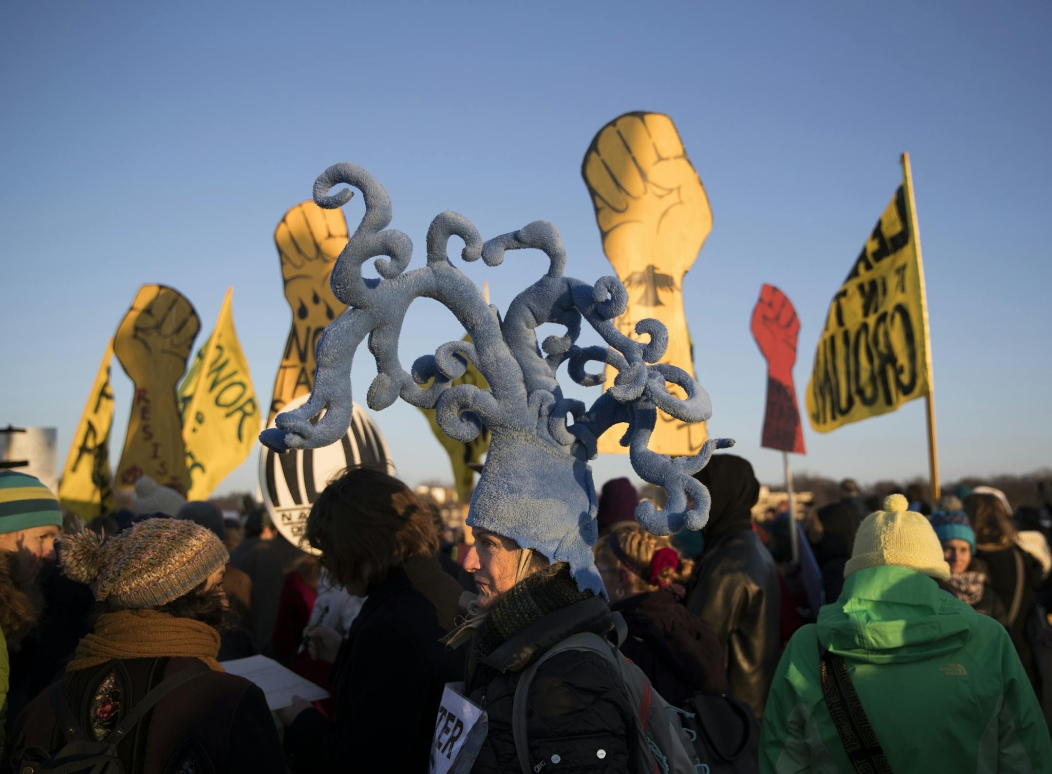 Terry McDaniel of Minneapolis wore a hat representing water as she protested the Dakota Access Pipeline on the Marshall Avenue Bridge on the border of St. Paul and Minneapolis, Minn., on Friday, January 27, 2016.