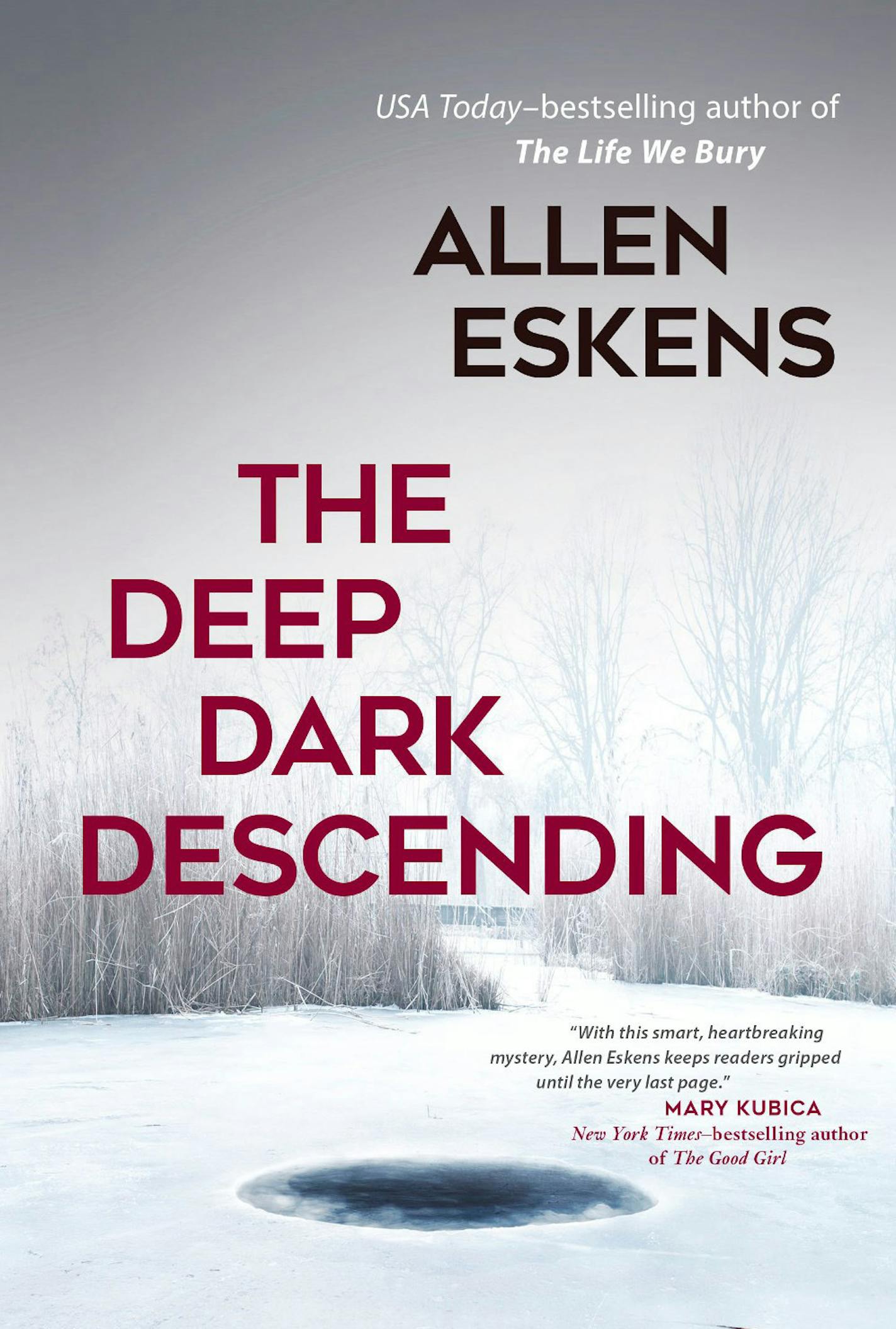 "The Deep Dark Descending" by Allen Eskens