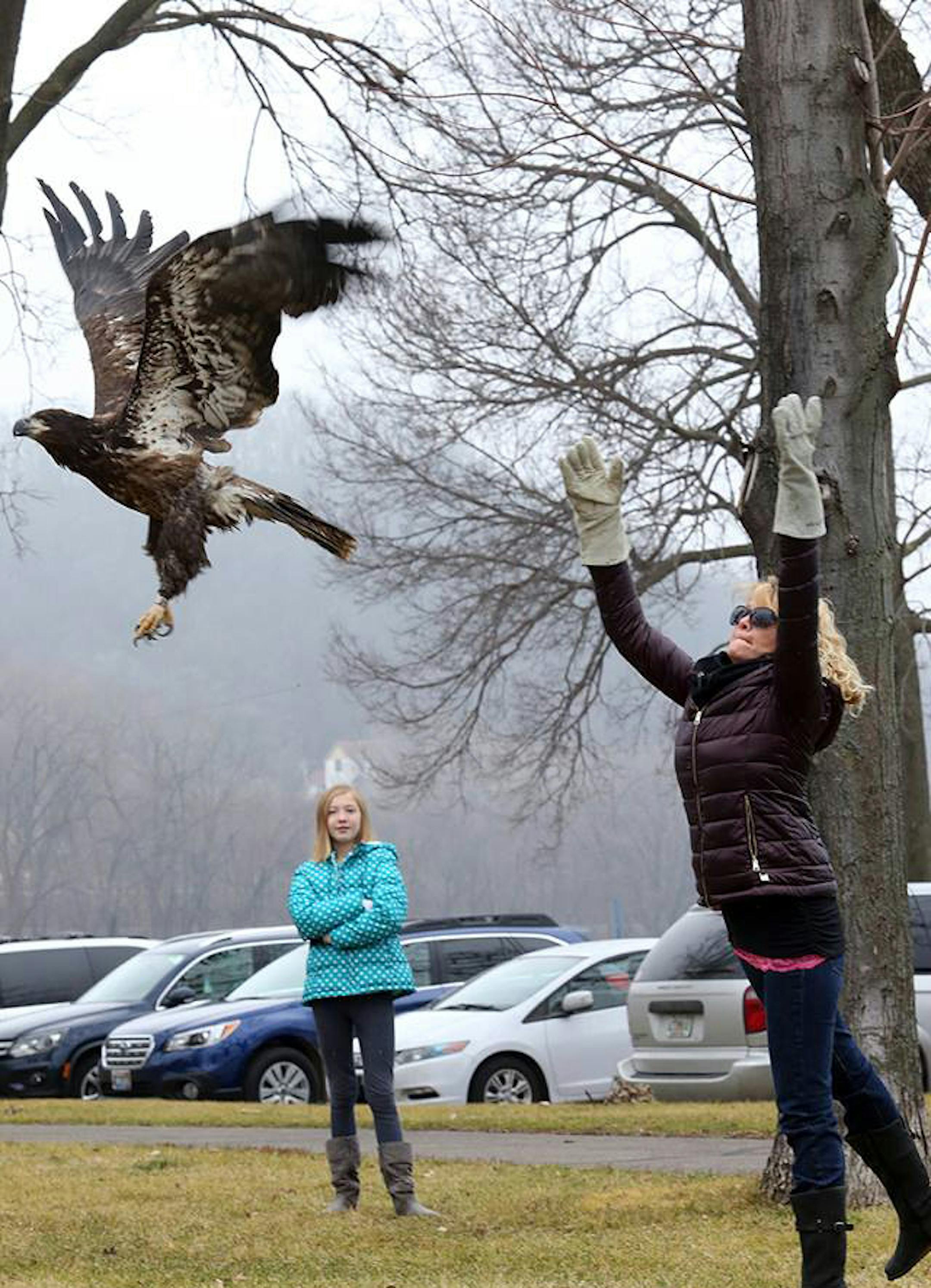 Lori Naumann, right, released a young bald eagle at a University of Minnesota Raptor Center event in 2015.