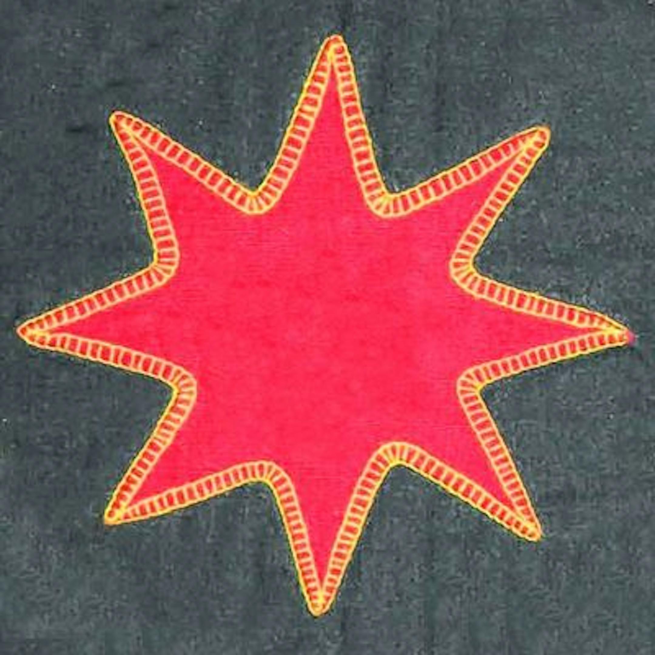 Hmong embroidery