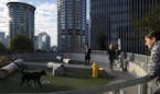 Amazon employees spend time with their dogs in a 17th-floor dog park on the company&#xed;s campus in Seattle on Nov. 6, 2017. For Seattle, Amazon has 
