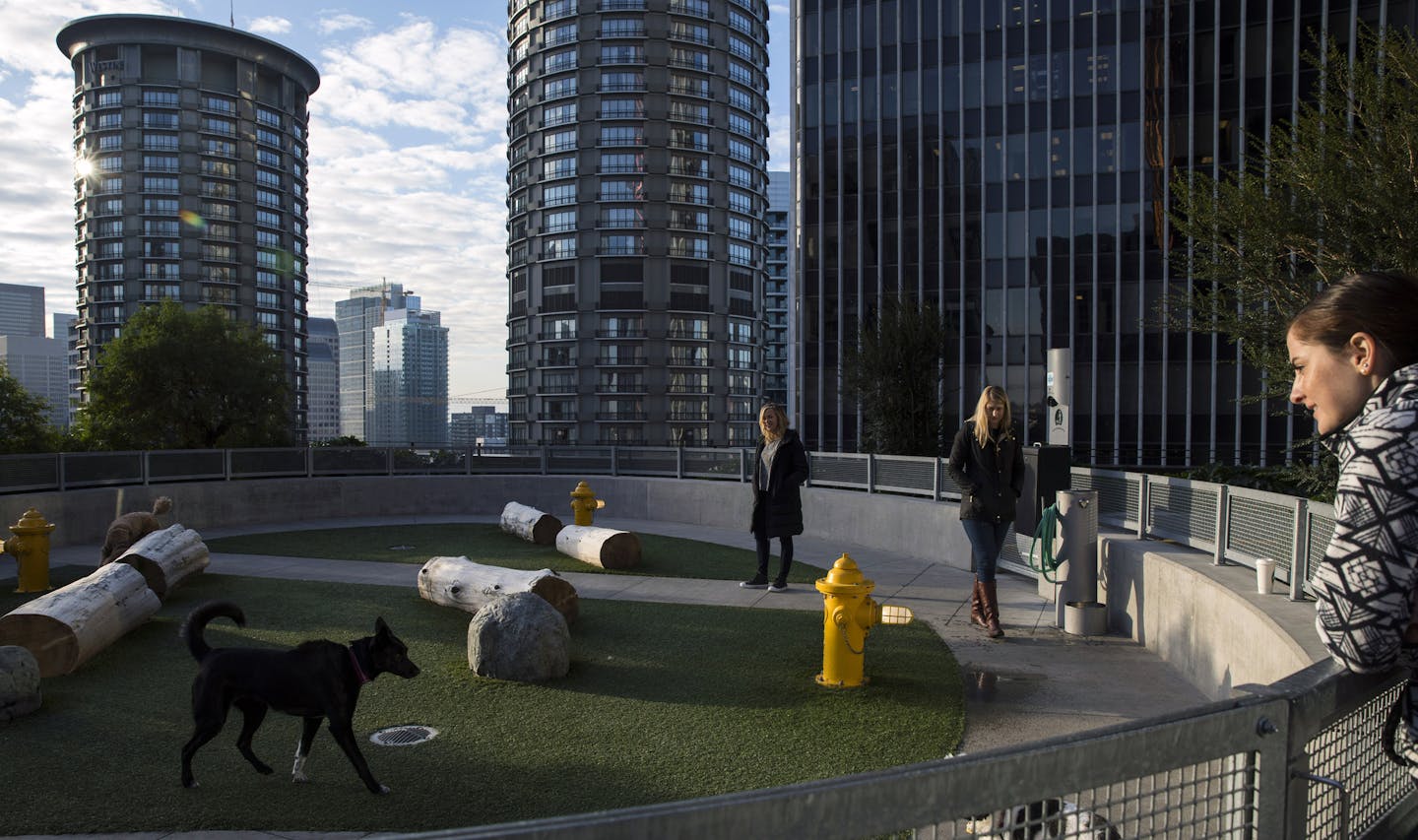 Amazon employees spend time with their dogs in a 17th-floor dog park on the company&#xed;s campus in Seattle on Nov. 6, 2017. For Seattle, Amazon has become far more than a big employer and taxpayer. It reshaped how the city sees itself and, in turn, is seen by the world. (Ruth Fremson/The New York Times)