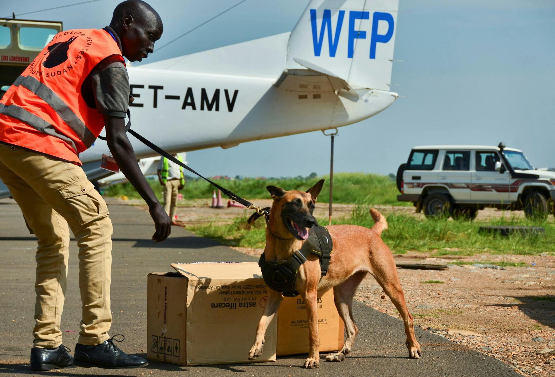 In this photo taken Thursday, July 27, 2017, an anti-trafficking "sniffer" dog inspects passengers' luggage for contraband on the tarmac of the airport in Juba, South Sudan. A two-dog team has been tasked with protecting the entirety of war-torn South Sudan from a flow of ivory and illegal animals, as advocacy groups say the country has become a critical African hub for traffickers. (AP Photo/Mariah Quesada) ORG XMIT: NAI104
