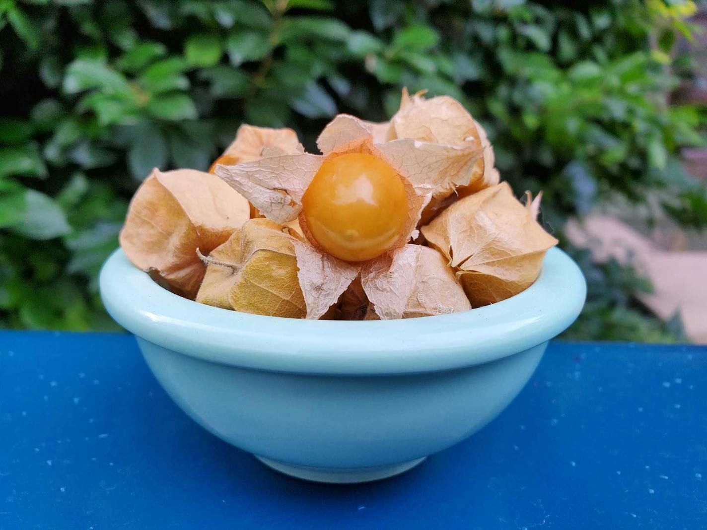 Ground cherries from Gale Woods Farm.