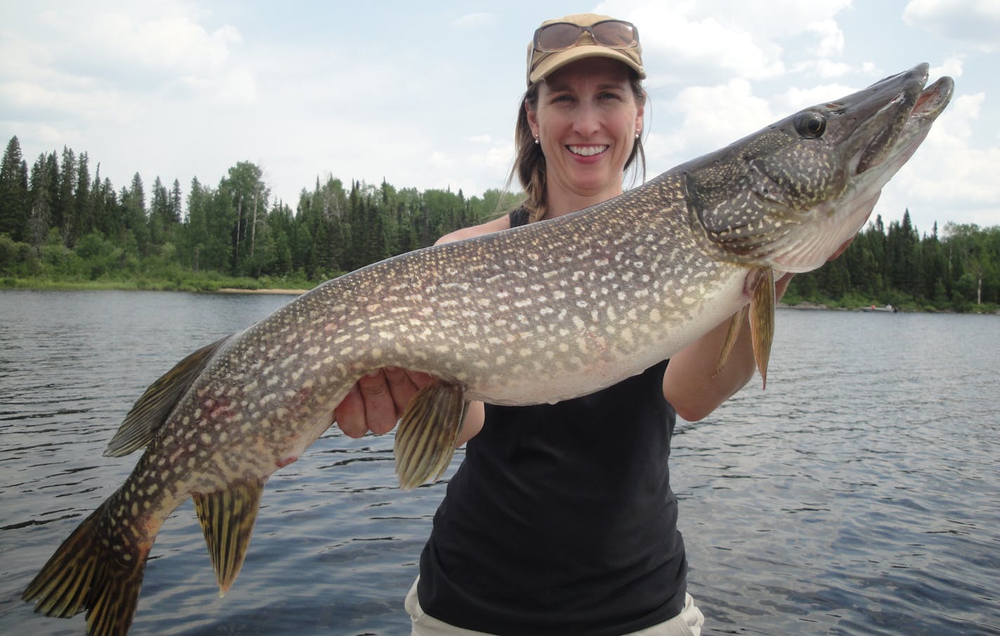 In a big country, there&#x2019;s big fish, such as a northern pike, above, caught in a fly-in lake.