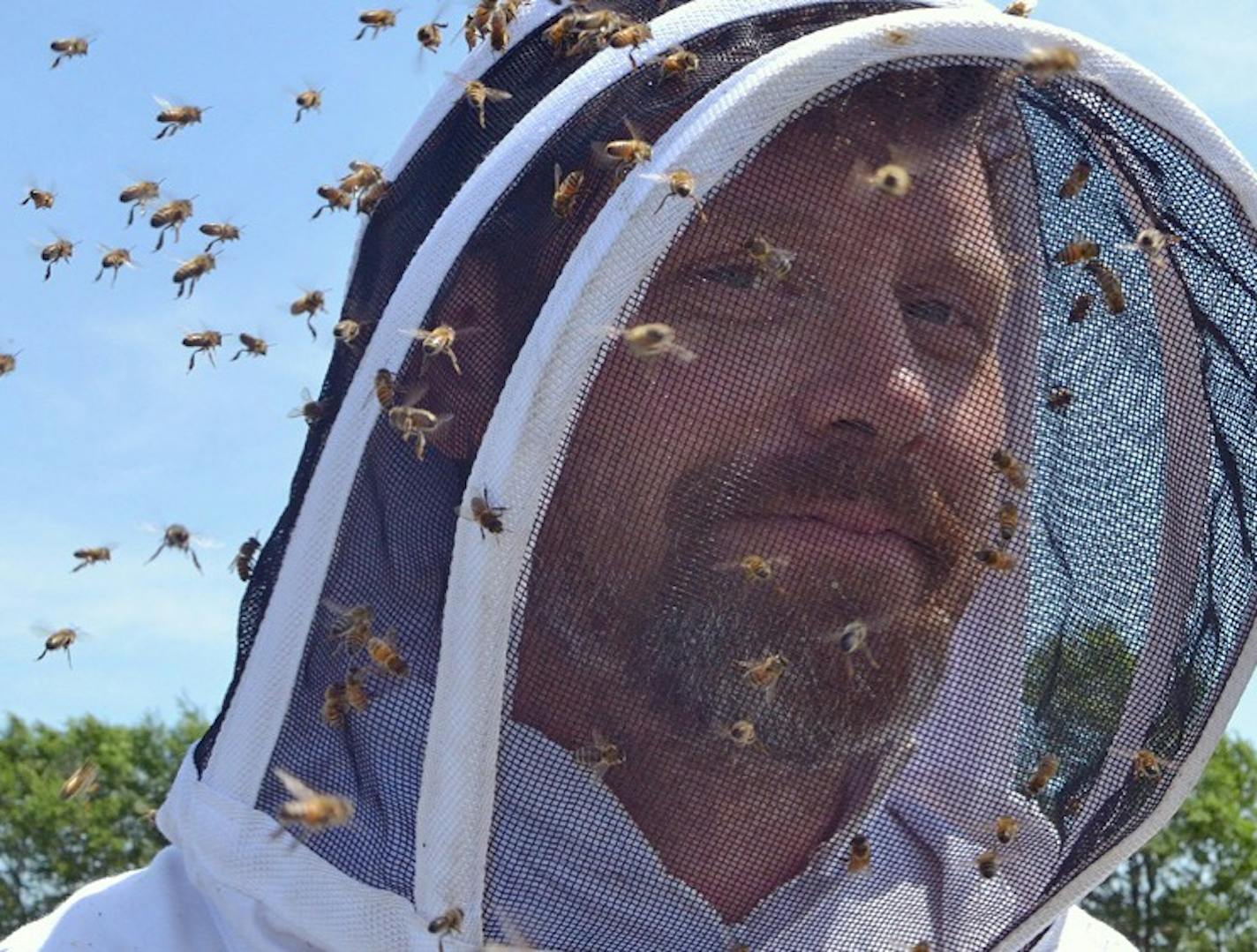 Bare Honey CEO Dustin Vanasse works with bees on a solar farm near St. Joseph, Mn.
Photo: Grace Vanasse