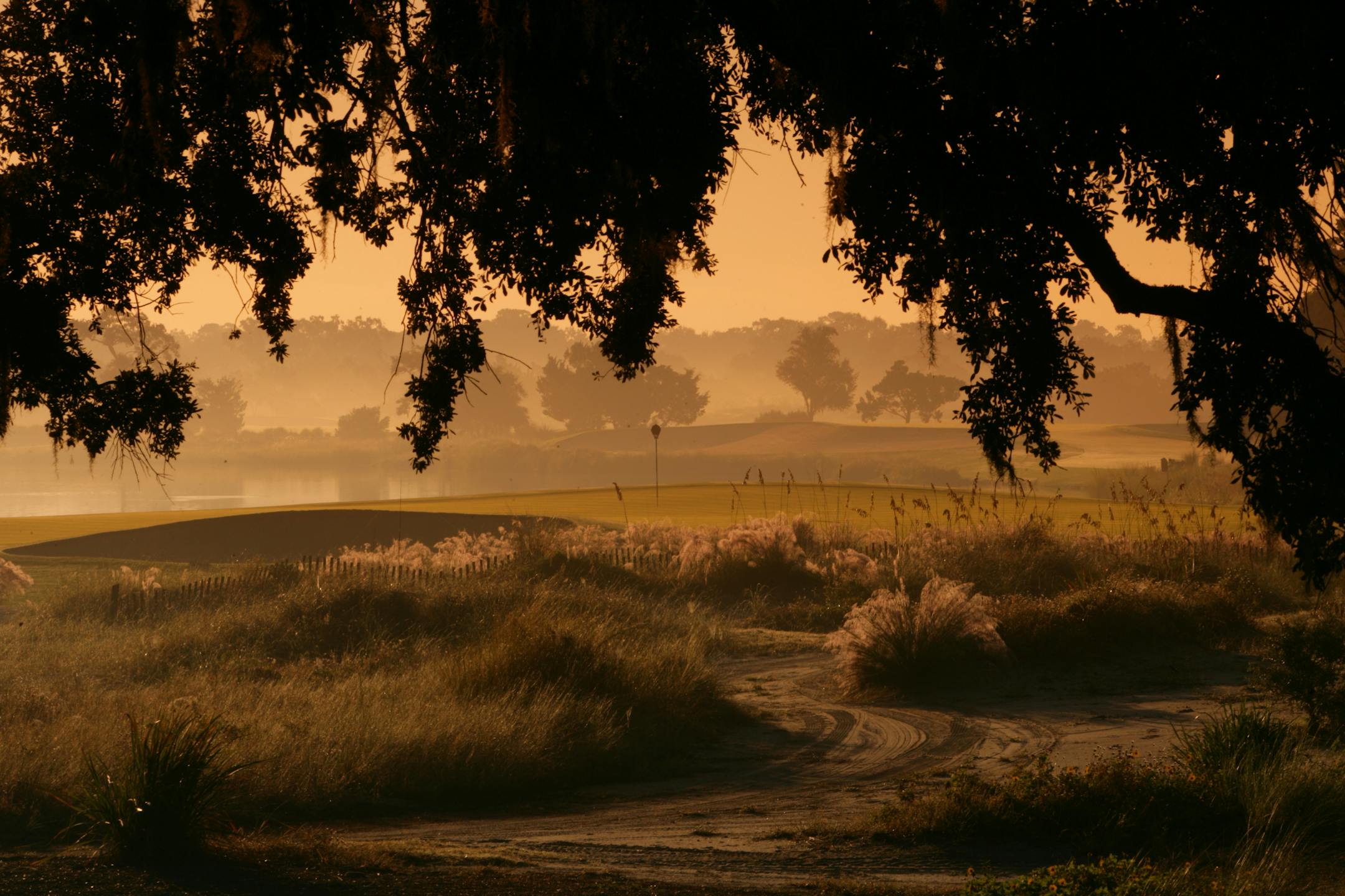 ST SIMONS ISLAND, GA - OCTOBER 20: The green on the 164 yard par 3, 6th hole, on the Sea Island Golf Club, Seaside Course on October 20, 2005 on St Simons Island, GA, United States.