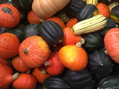 As winter arrives, farmers market shoppers continue to have options.