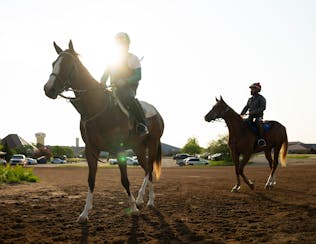 Trainers head to the track for an early morning workout at Canterbury Park in Shakopee on Wednesday.