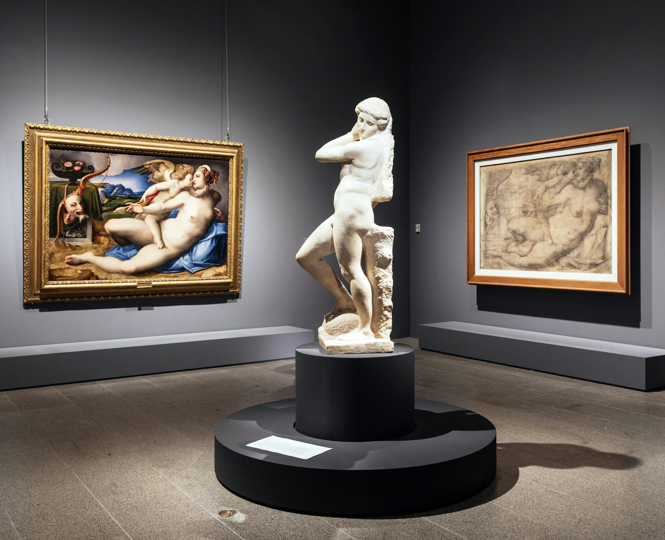 From left: ìVenus Kissed by Cupid,î by Michele di Jacopo Tosini, after a Michelangelo design; the sculpture ìApollo-David (unfinished),î by Michelangelo; and ìCartoon of Venus Kissed by Cupid,î attributed to Michelangelo and Workshop. The Metropolitan Museum of Artís show in New York, ìMichelangelo: Divine Draftsman and Designer,î with 133 drawings, depicts the evolution of the Renaissance artist as deity and brand. (Mark Wickens/The New York Times)