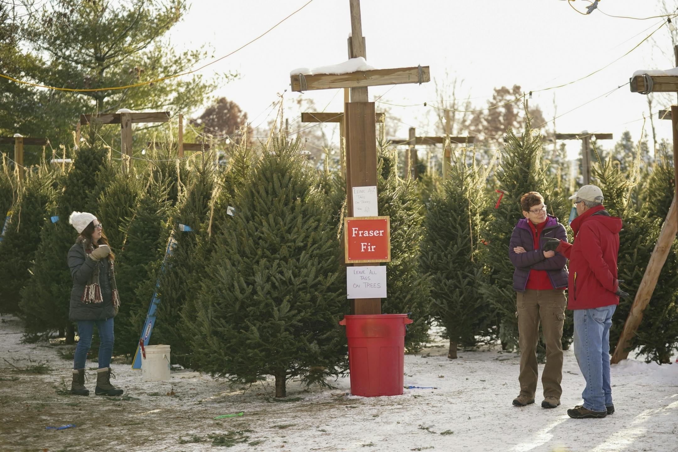 Neil Krueger visited with Kris Bowditch, whose family also owns a Christmas tree farm in Wisconsin. Kreuger said they share ideas every year.