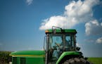 Steve Sjostrom mowed hay in a newly created buffer on his dairy farm in Lafayette Minn. He also crows corn. ] GLEN STUBBE &#x2022; glen.stubbe@startri