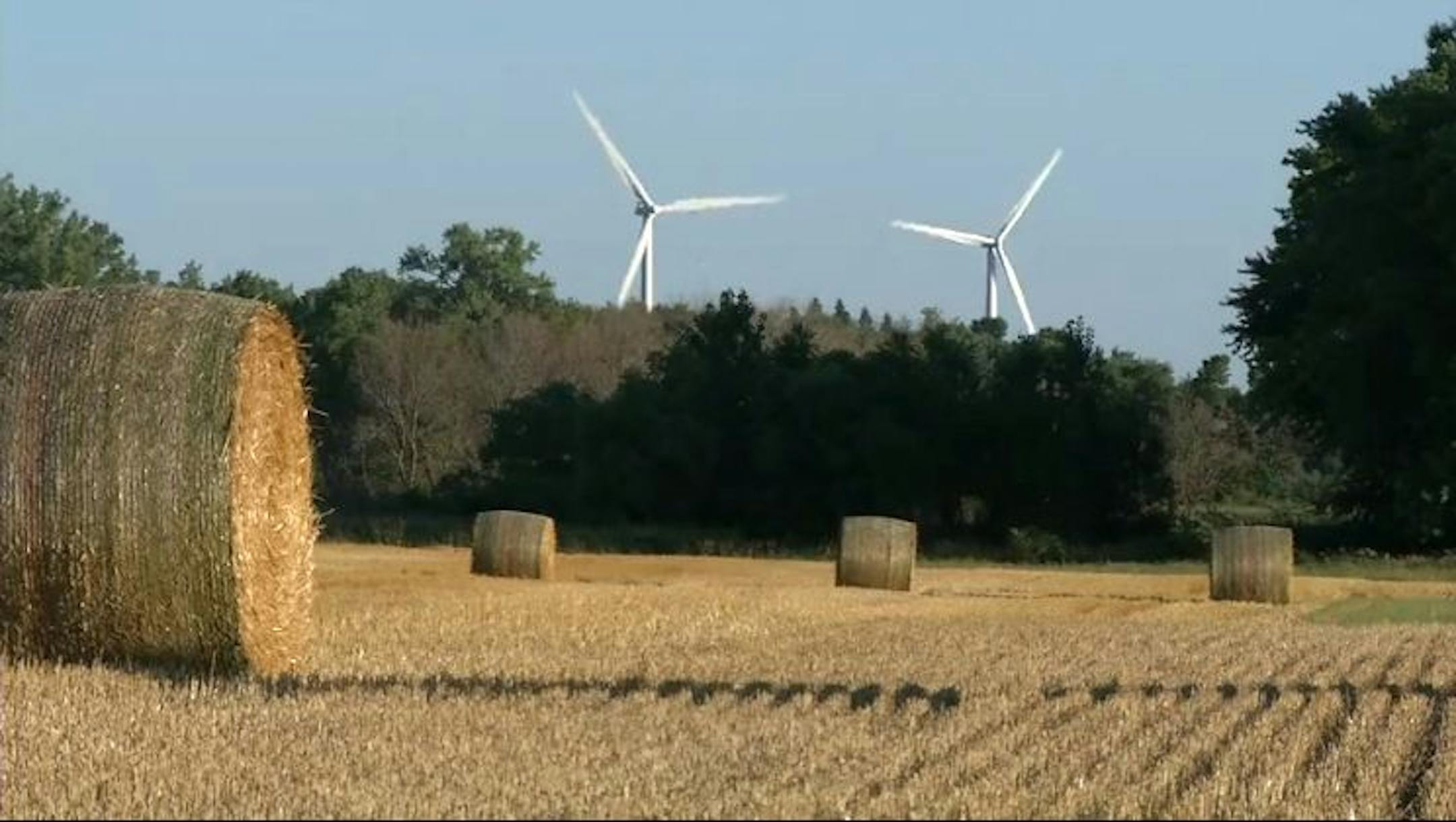Wind turbines spin outside Morris, Minn., supplying electricity on the University of Minnesota campus there. The scene is part of a video released on the website of U.S. Department of Energy, which recognized the city and university for clean energy efforts.