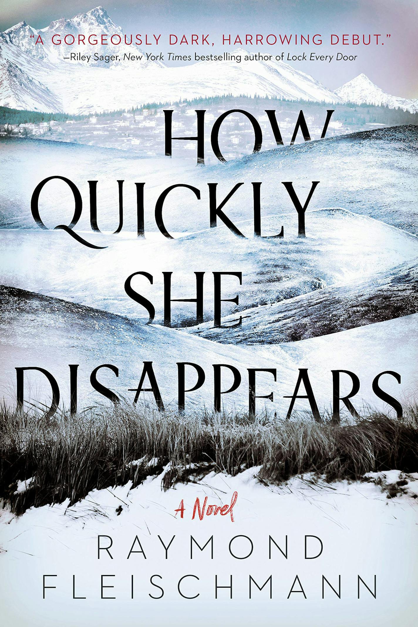 "How Quickly She Disappears" by Raymond Fleischmann