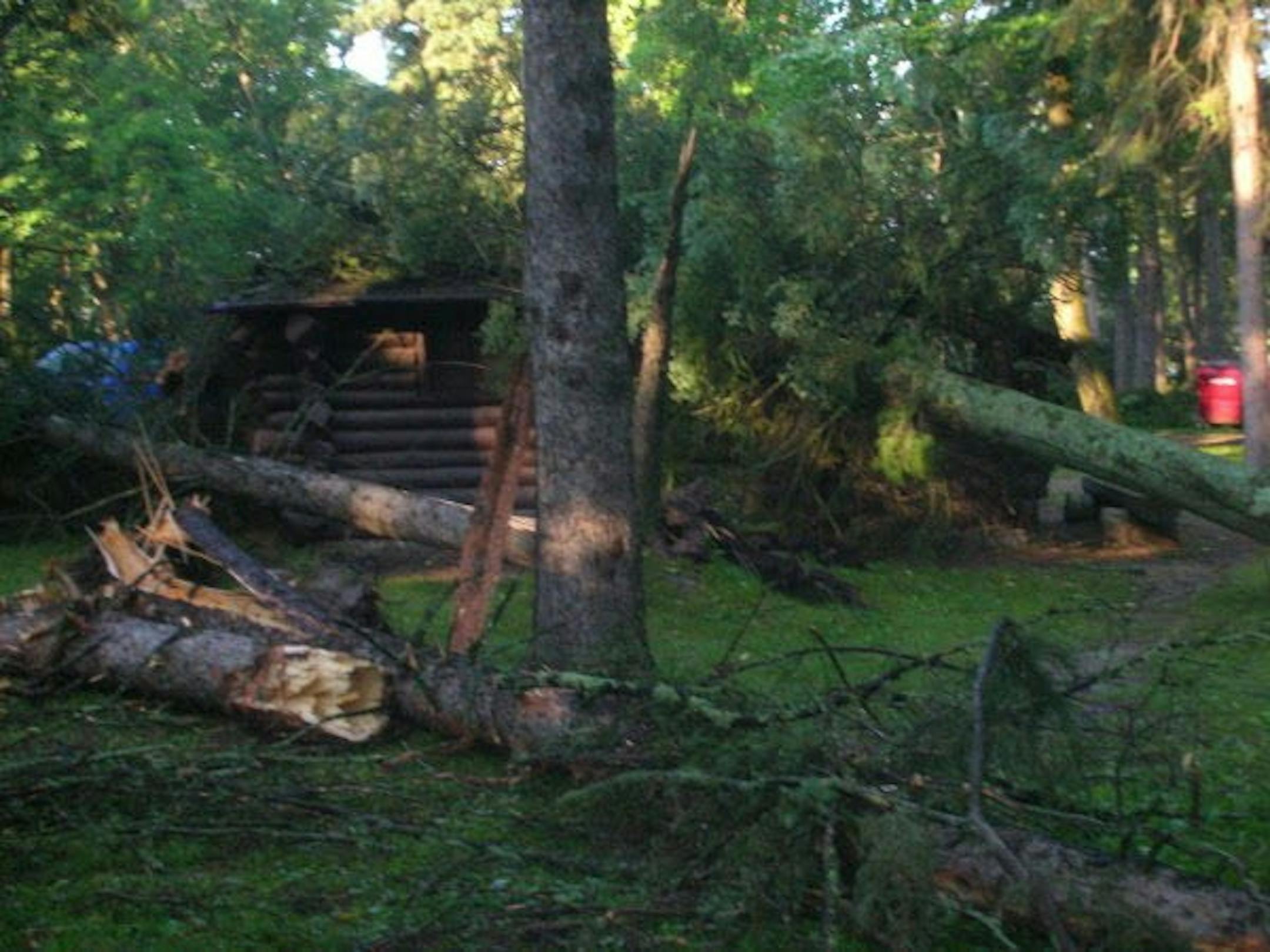 Trees fell on some buildings at Itasca State Park last week. Gusts of up to 80 mph were reported.
