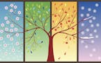 iStock
Seasons of the year - spring, summer, autumn, winter. Art tree.