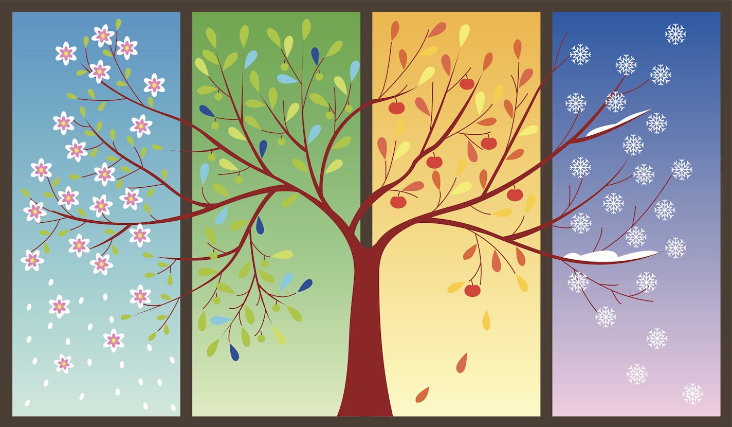 iStock
Seasons of the year - spring, summer, autumn, winter. Art tree.