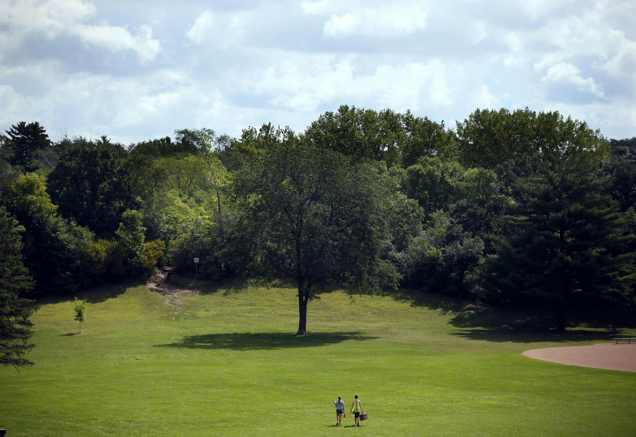 Two kids with a picnic basket walked across an open field at Minikahda Vista Park near a15-acre parcel of wild land located at 40th Street West and France Avenue south straddling the border of Edina And St. Louis Park. Monday September 1 , 2014 in Minneapolis MN .