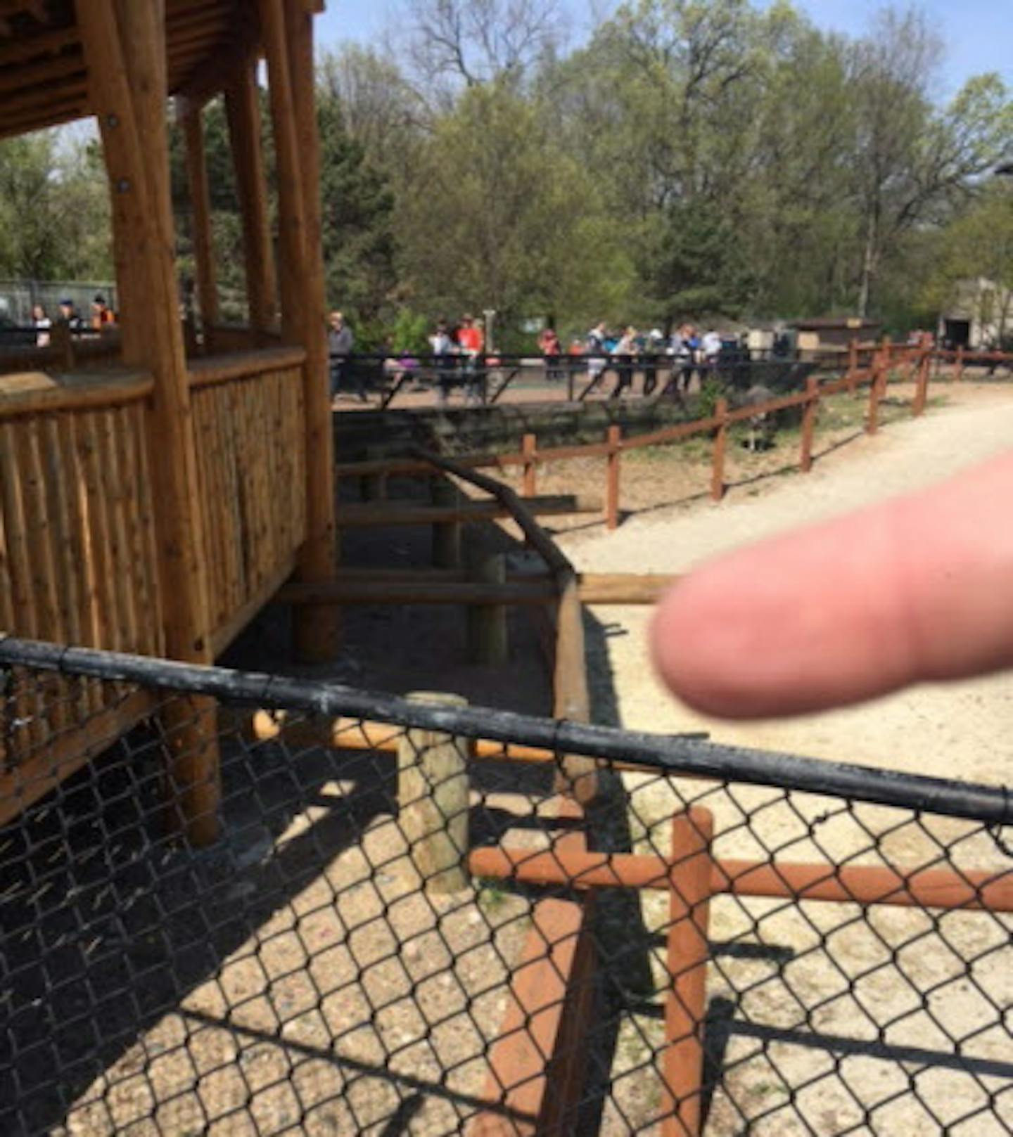 The wooden ledge inside the Como Park Zoo giraffe exhibit where the first man was sitting as the second man climbed over a fence. The feeding station is the structure behind the ledge.