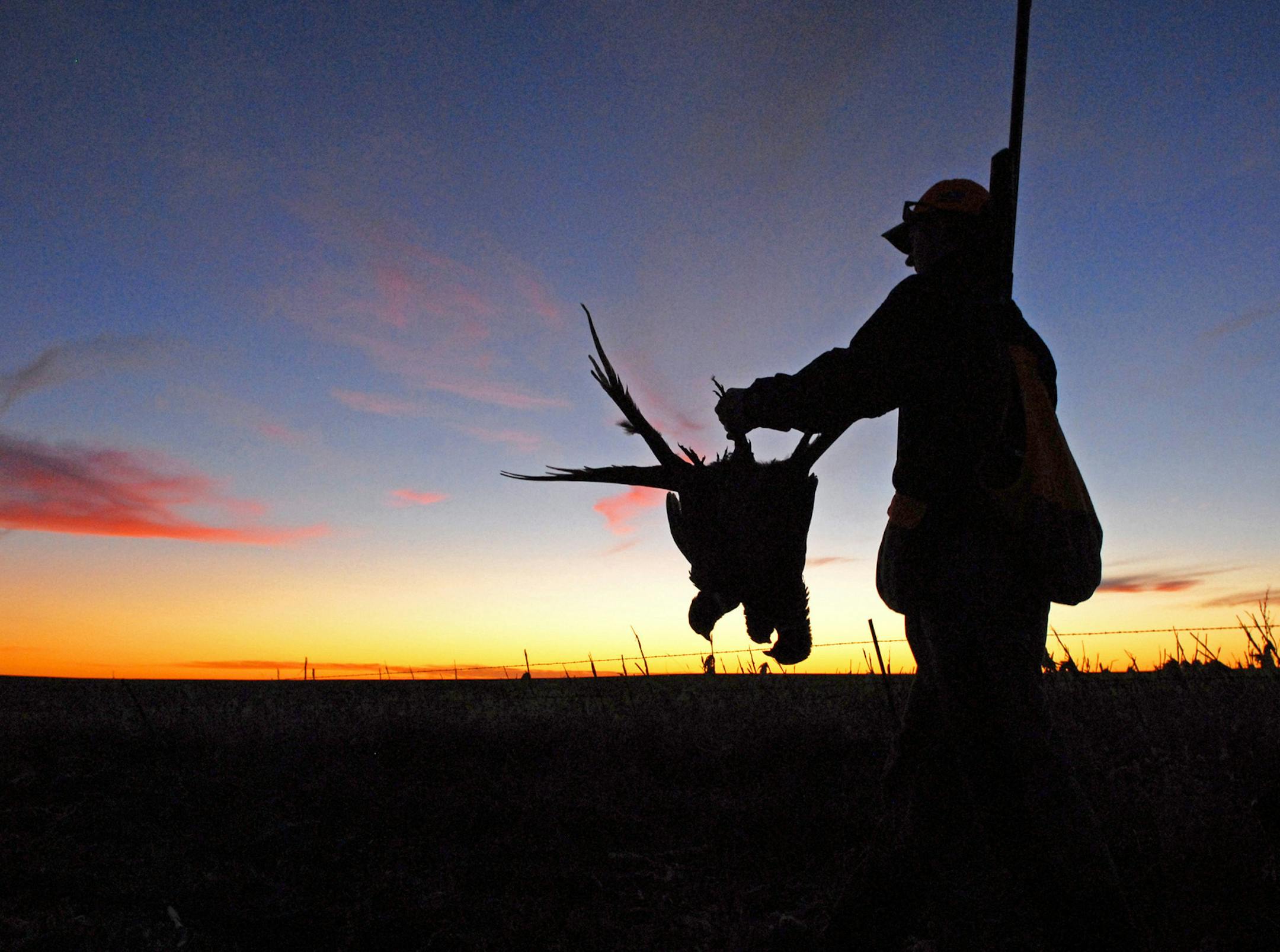 Fish, wildlife and their habitats in Minnesota and the Dakotas face threats on so many ­levels that anything short of a well-developed plan effectively executed will all but guarantee failure.