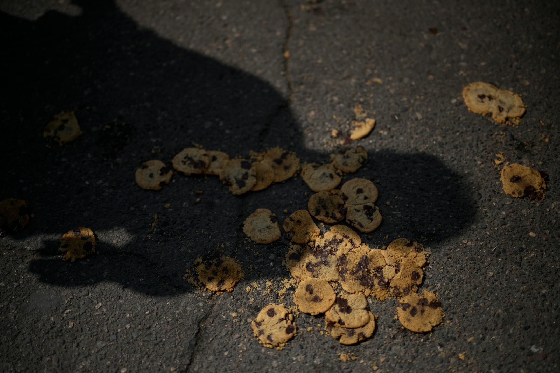 Fallen Sweet Martha's Cookies are smooshed into the pavement on the last day of the 2022 Minnesota State Fair.