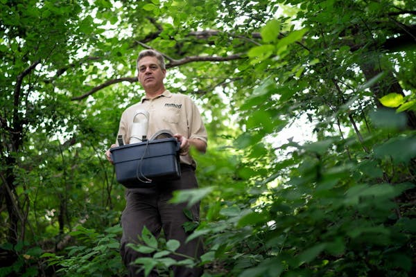 Kirk Johnson, vector ecologist for the Metropolitan Mosquito Control District, set up traps in Lauderdale.