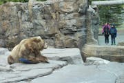 Outdoor exhibits at the Lake Superior Zoo will reopen Friday.