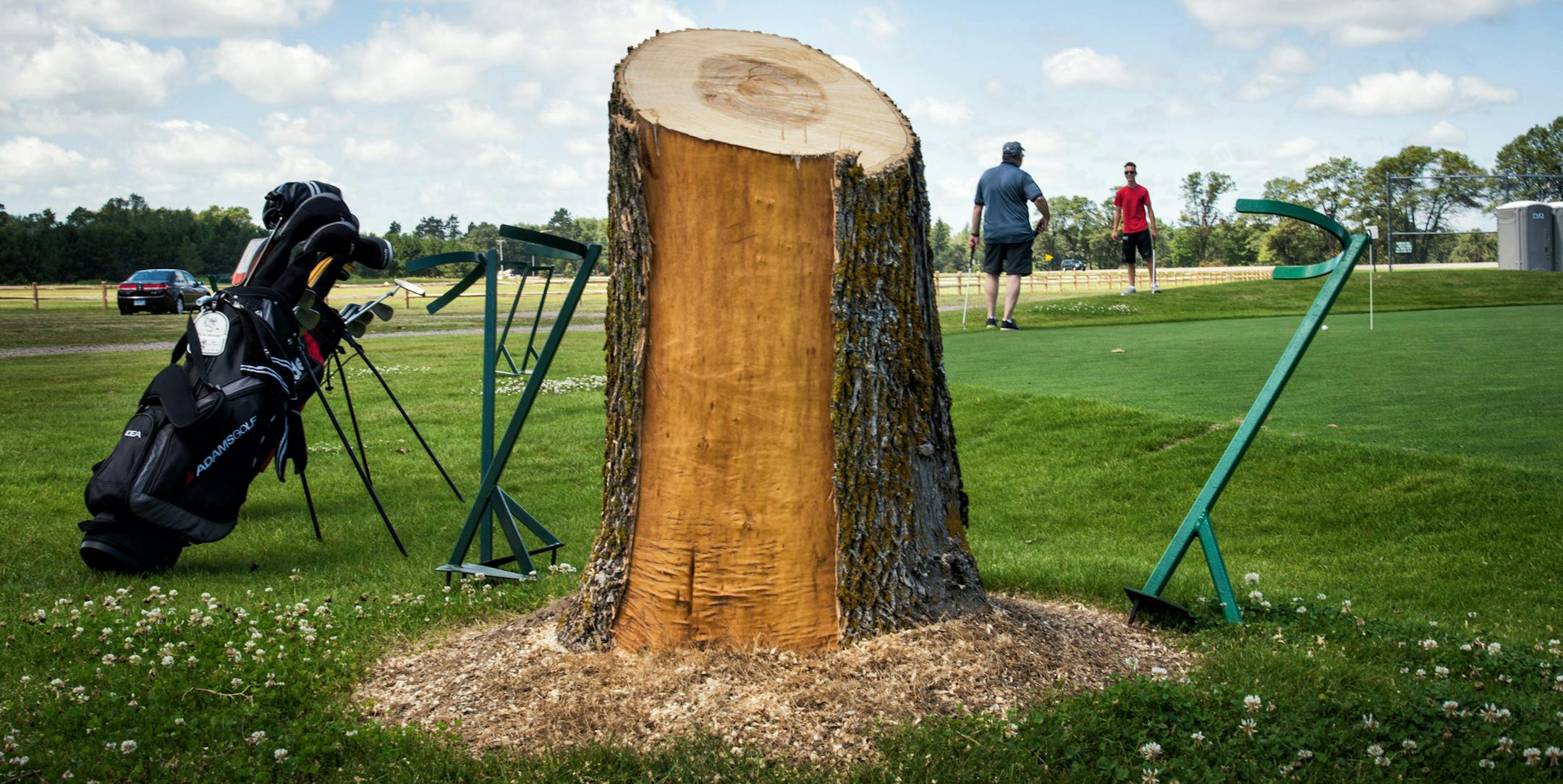 Charles Erickson told his grandsons Drew and Alec, both 14, when they were younger, he remembered watching them play golf from the shade of this now gone ash tree at Madden's resort in Nisswa, MN. ] GLEN STUBBE * gstubbe@startribune.com Friday, July 17, 2015
