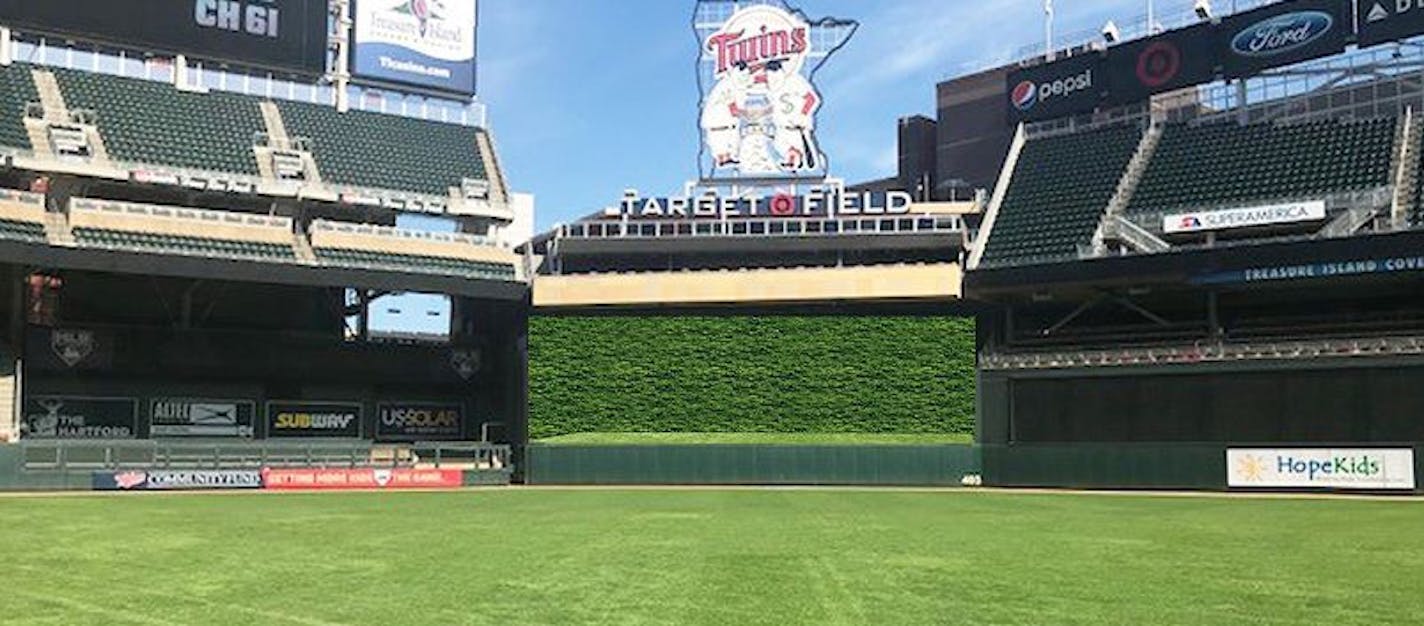 This artist rendering shows what the installation of thousands of juniper plants behind the Target Field center-field wall would look like.