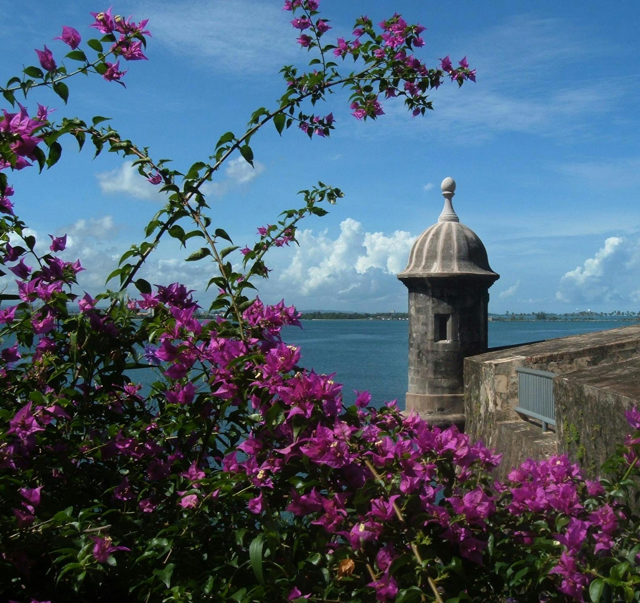 The lawn outside El Morro, the six-story fortress in Old San Juan, provides sweeping ocean views.